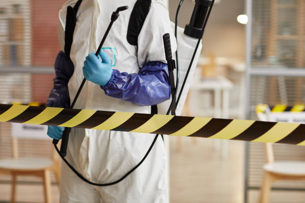 Professional Hoarding Cleanup technician working in Highlands, TX
